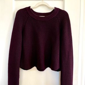 Beautiful scalloped plum cropped sweater from Wilfred at Aritzia size small